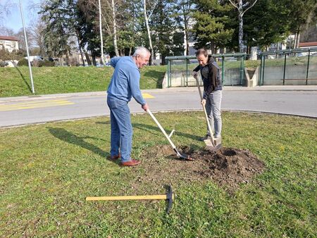 1_Županova lipa (4)